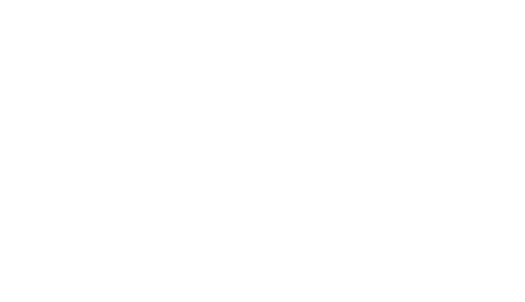 furlaneto logo